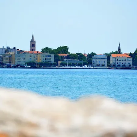 Zita Zadar